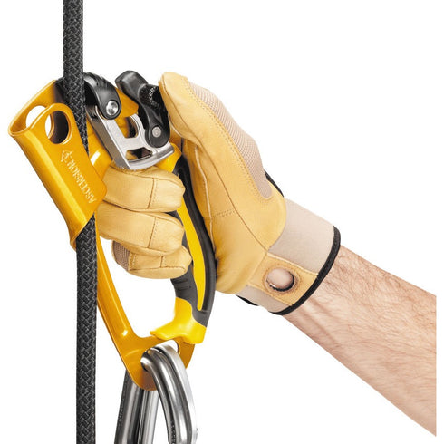 アッセンション