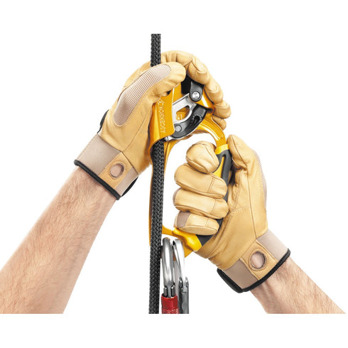 アッセンション