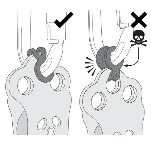 ウォーリス 5個セット