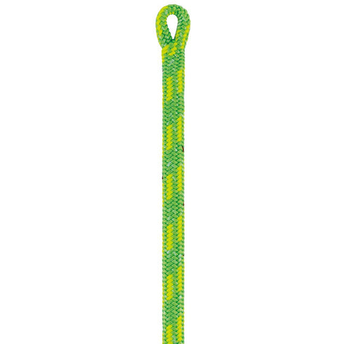 コントロール 12.5mm