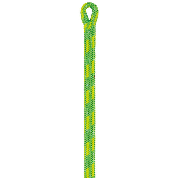 コントロール 12.5mm