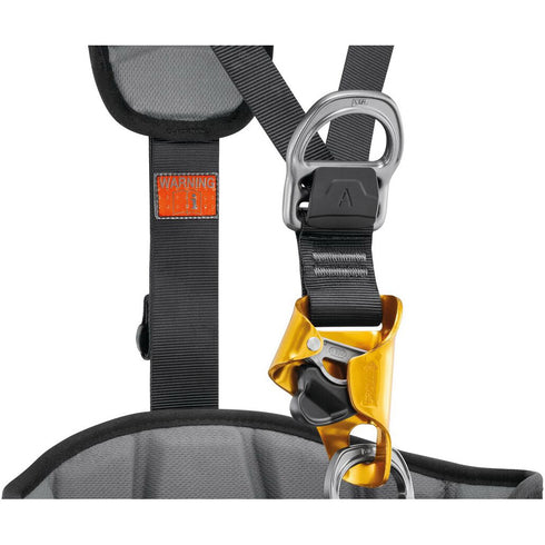 アストロ (国際バージョン)