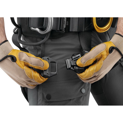 アストロ (国際バージョン)